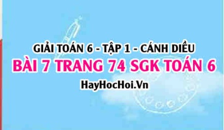 Giải bài 7 trang 74 Toán 6 Tập 1 SGK Cánh Diều